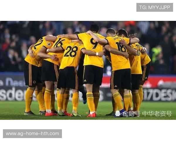 狼队连续败北，战术执行力亟待提升