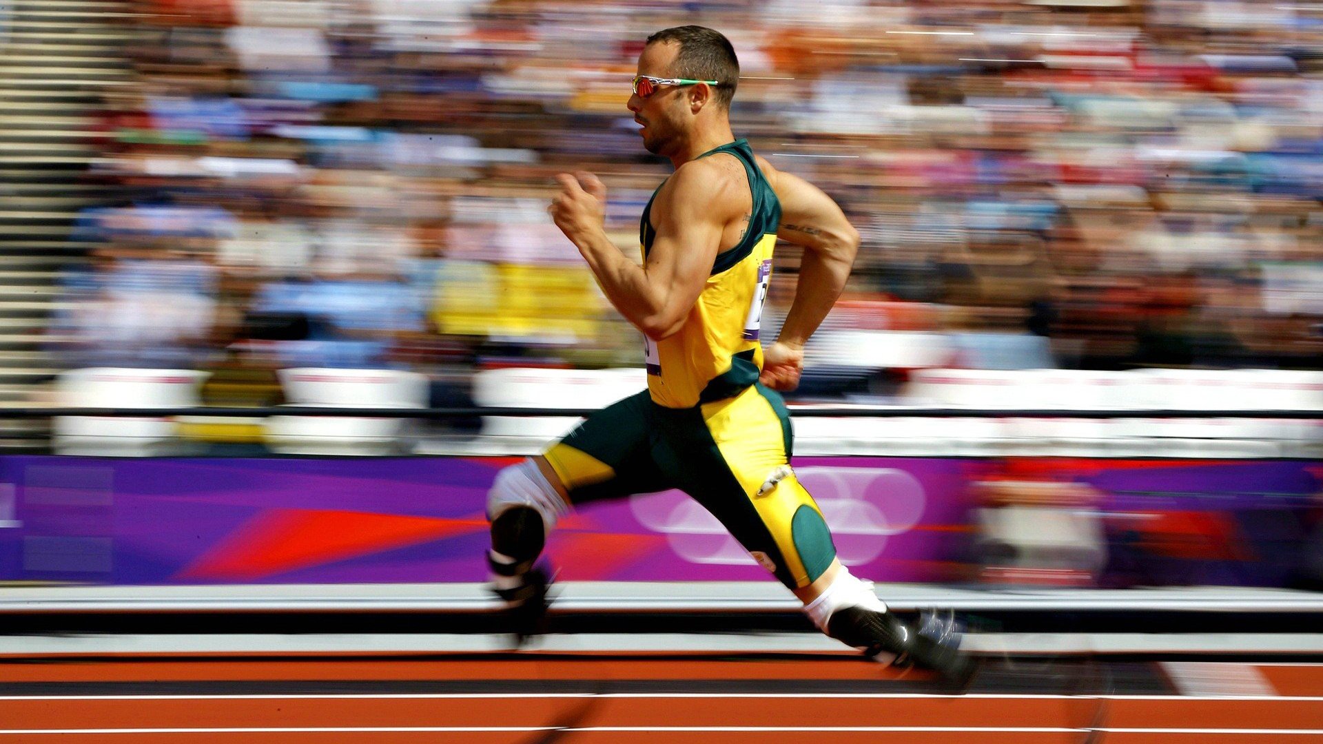 世界杯后环保组织联合发布赛事环境影响评估报告